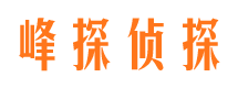 巍山寻人公司